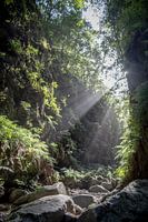 Soleil dans la vallée