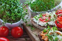 leckere belegte Brote mit Microgreens