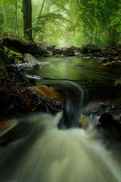 Der Fluss Hill im Hohen Venn in den Ardennen. von Jos Pannekoek