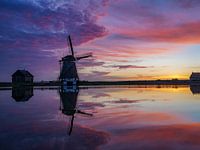 Gänsehautmoment: Sonnenuntergang an der Mühle des Nordens (Texel)
