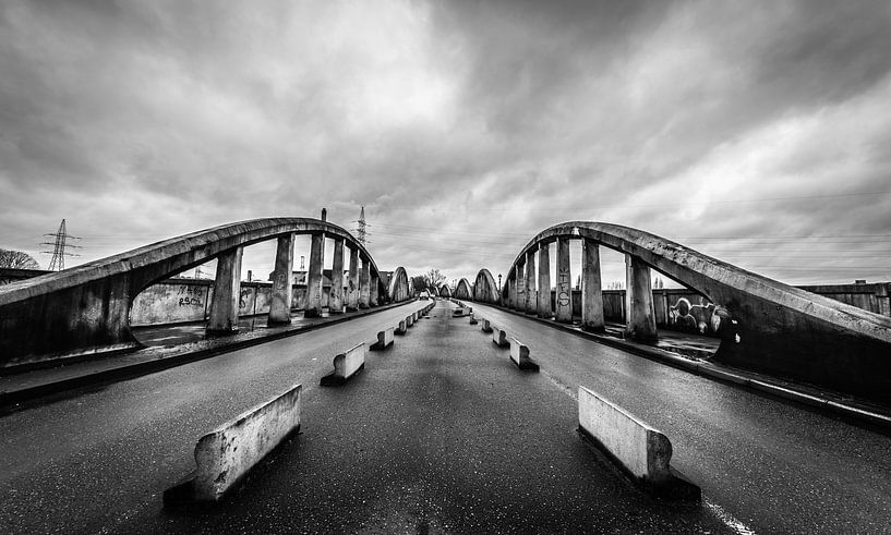 Der Löwe reitet im Sturm von Werner Lerooy