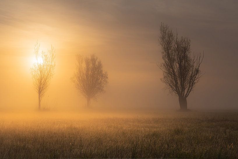 Foggy world by Wilko Visscher