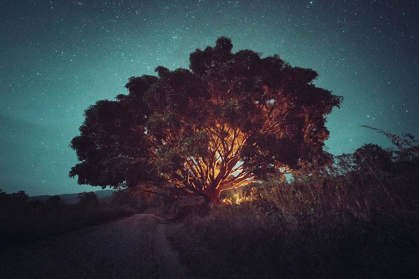 Myanmar von Martijn Doolaard