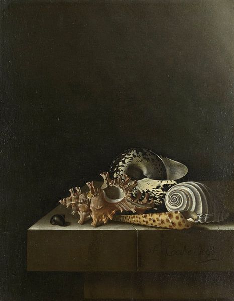 Muscheln auf einem Steinsockel, Adriaen Coorte von Meisterhafte Meister