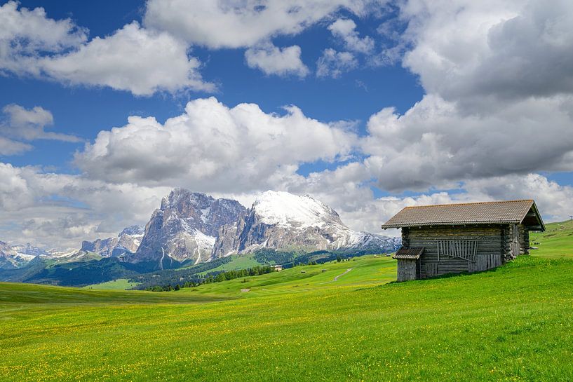 Seiser Alm panorama in the Dolomites during spring by Sjoerd van der Wal Photography