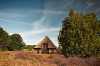 Het huis van de herder