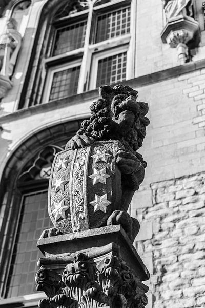 Gouda | 't old Stadhuys | Gouda City par Mascha Boot