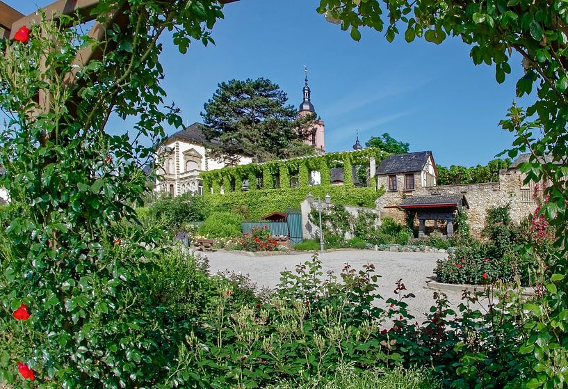 Rheinpromenade mit der Pfarrkirche St. Peter und Paul in Eltville am Rhein im Rheingau von Dieter Meyer