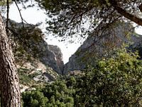 spanien wald und natur caminito del rey