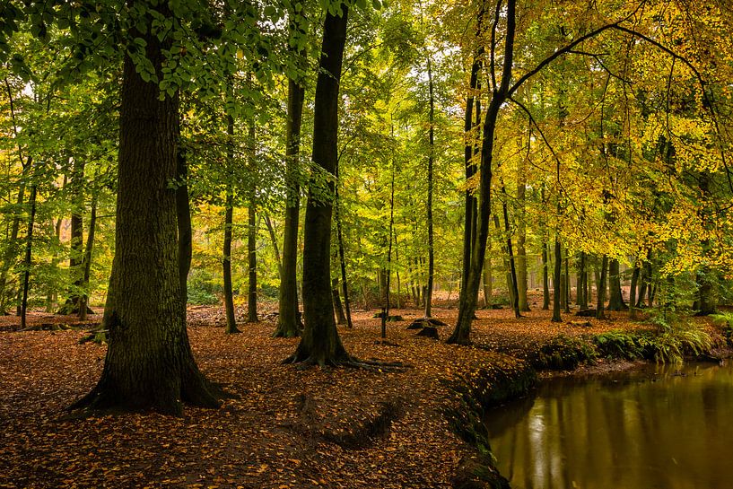 Landgoed Geijsteren by wimke247