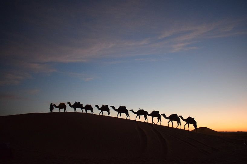 Morgen in der Wüste von Gaelle Le Boles
