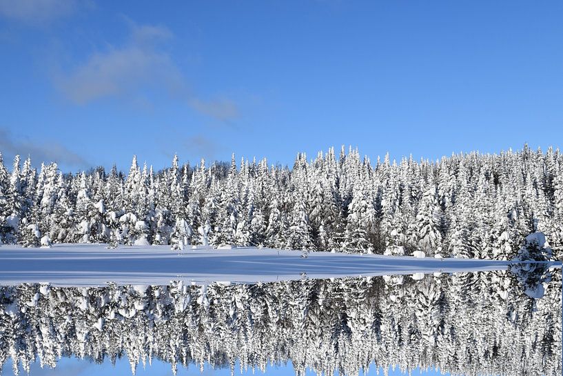Erster Schnee auf dem See von Claude Laprise
