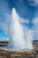 Active geyser in Iceland