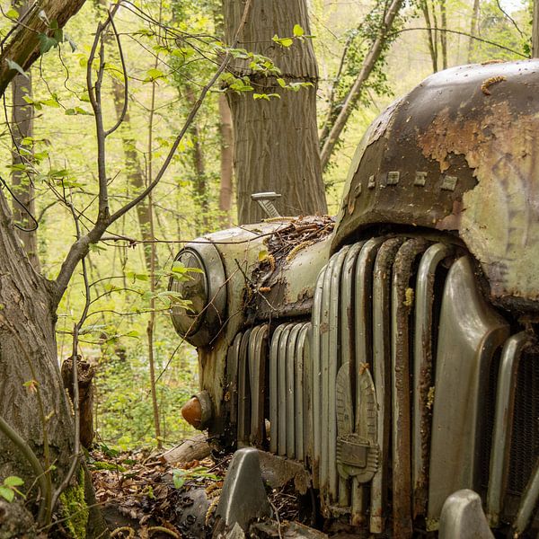 Reclaimed by nature by seems.photography