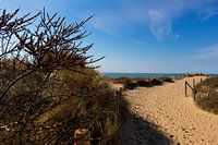 Chemin de dune, entrée de la plage