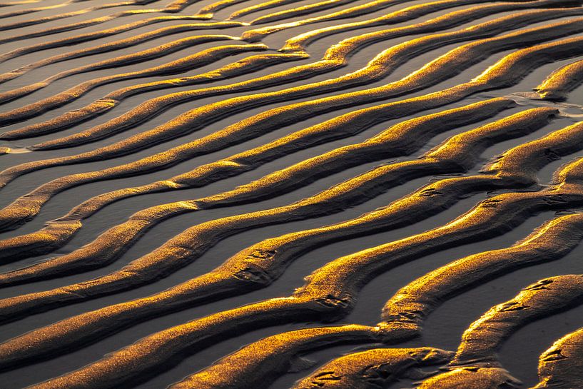 Details in het zand par Nel Diepstraten