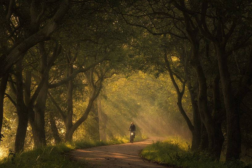 Radfahren durch Sonnenstrahlen von Moetwil en van Dijk - Fotografie