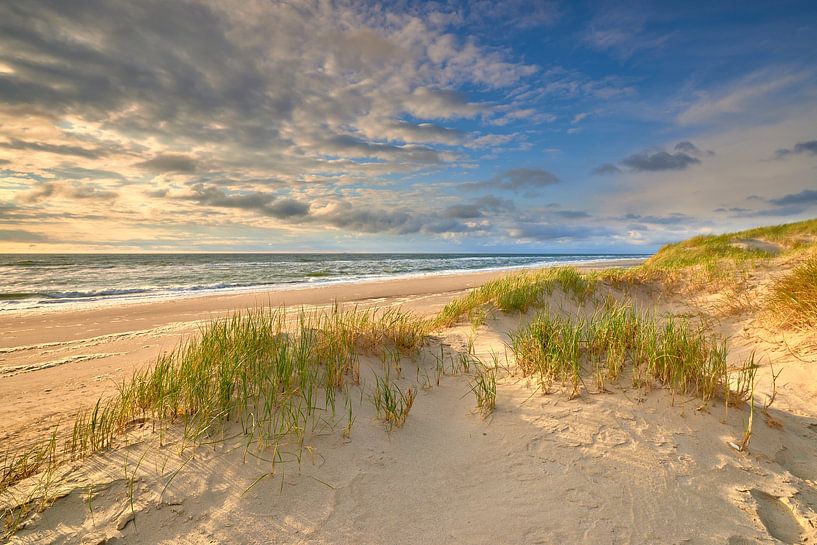 Lumière du soir sur la plage de la mer du Nord par Jenco van Zalk