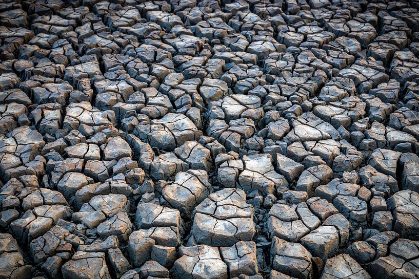 Les vasières par Johan Mooibroek