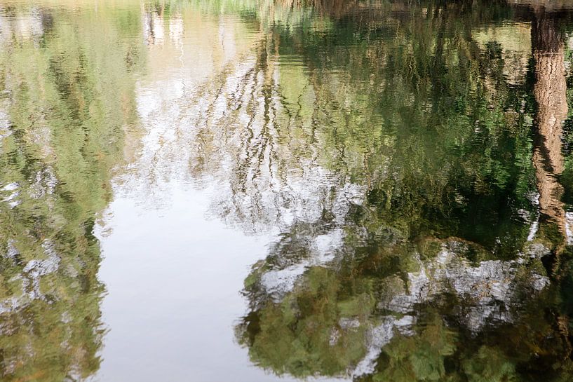 Spiegelung der Bäume im Wasser von Evelien Bauwens