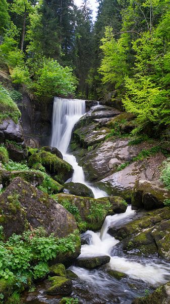 Magical waterfalls of a river flowing through the forest by adventure-photos