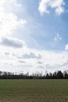 Meadow with Dutch Light