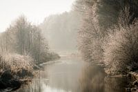 Winter river