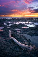 Costa Rica's Splendour