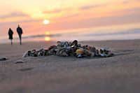 Samen de zonsondergang tegemoet gaan.