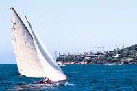 White classic sail boat during sailing regatta