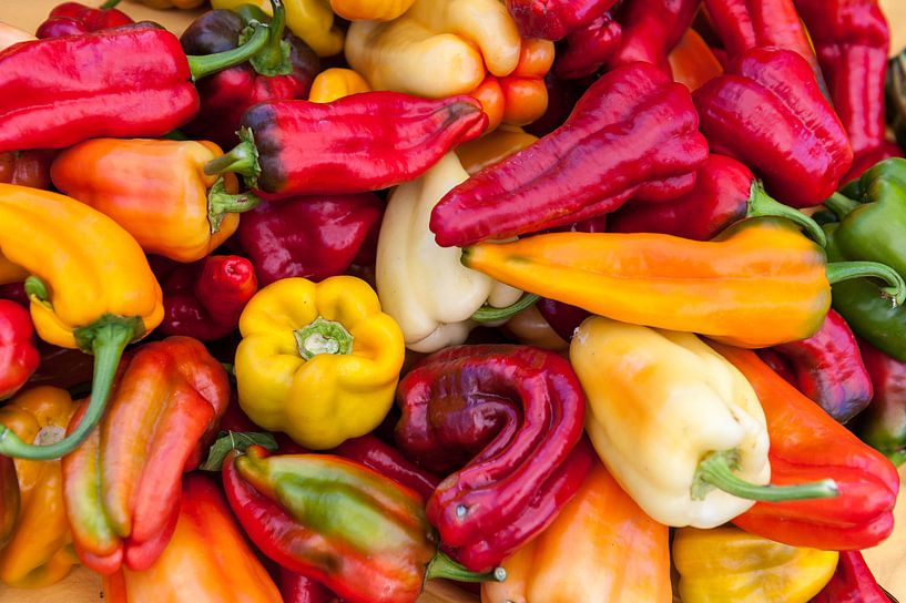 Poivre par Wim Slootweg