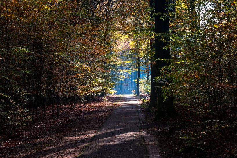 Speulderbos - 23 par Nuance Beeld