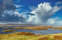 Peaceful, deserted places in Scotland. Peat bogs, acid grasses, flooded wetlands with little vegetation.