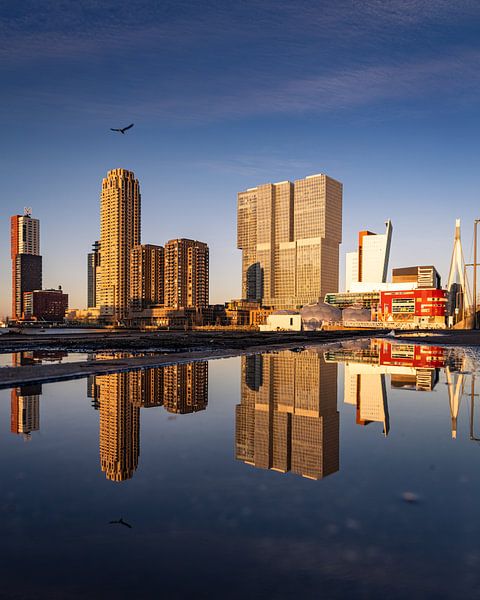 Réflexion sur le Sud par Studio Bukmani