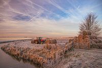 Morgendämmerung; Dieser Bauer arbeitete früh an diesem schönen Wintertag, als der Frost noch auf den Feldern lag.