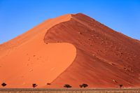 Une énorme colline de sable dans le Sossusvlei en Namibie.