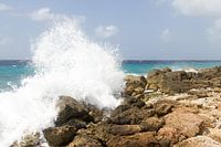 Curacao, ruige kust no. 5