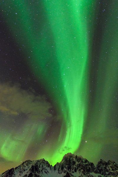Northern Lights, Aurora Borealis over the Lofoten Islands in Nor by Sjoerd van der Wal Photography
