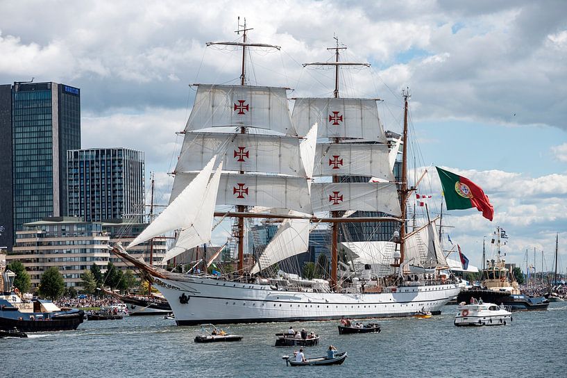 NRP Sagres by Richard Wareham