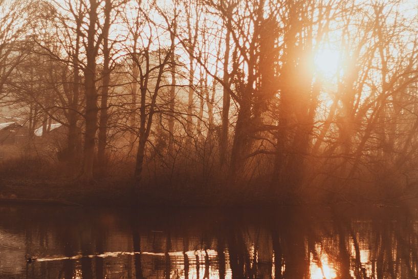Foggy morning on Westbroekweg in The Hague by Anne Zwagers