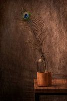 A peacock feather in a glass bottle still life