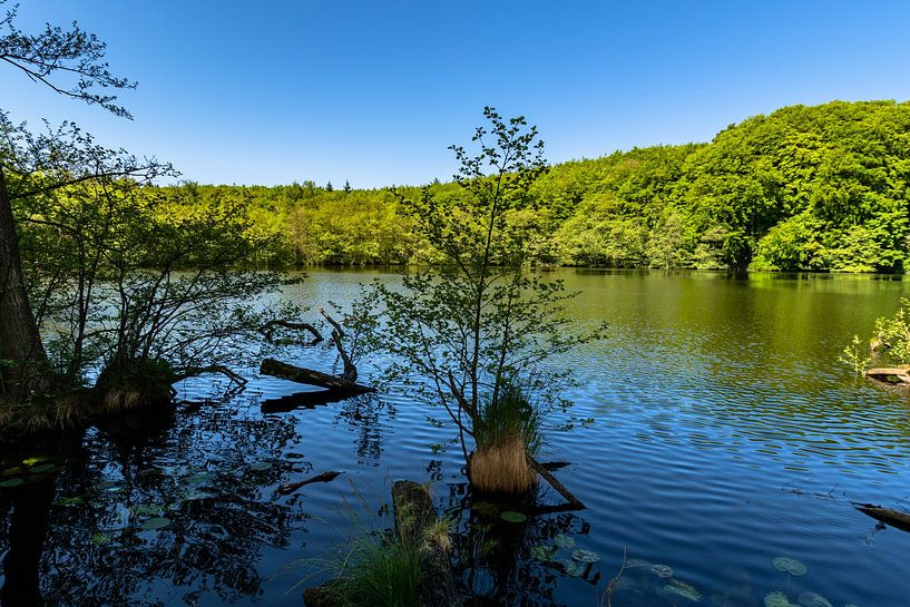 Herthasee, Nationalpark Jasmund, Insel Rügen von GH Foto & Artdesign
