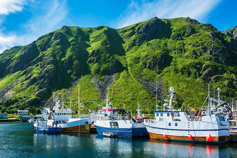 Fishing boats on the Lofoten islands in Norway by Rico Ködder