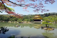 golden temple kyoto Japan