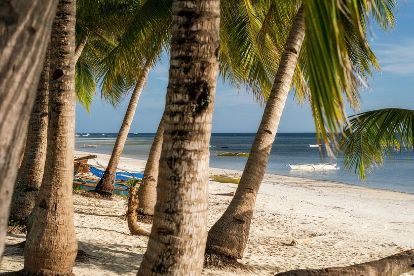 Palmen und Meer mit Bangka Boot zum Sonnenuntergang auf der Insel Siquijor auf Philippinen von Daniel Pahmeier