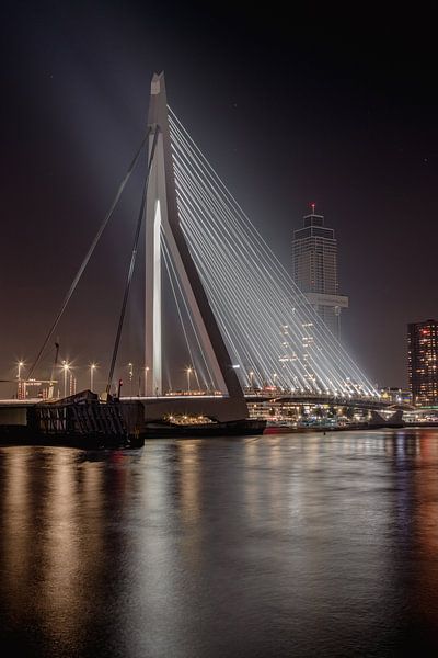 Rotterdam par Rob Saly