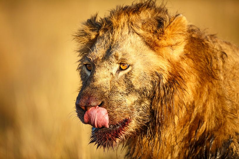 After dinner by Marijn Heuts