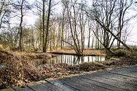 Vanaf een vlonder naar vooronder!