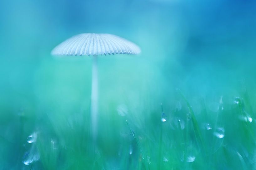 Auf eigene Faust von LHJB Photography