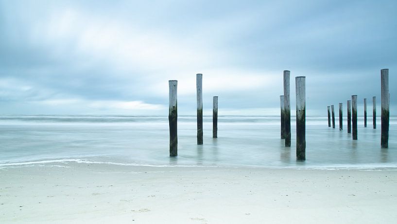 Palendorp Petten von Perspective